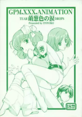 [Toraya (ITOYOKO)] GPM.XXX Animation Moegiiro no Namida - Tear Drops (Gunparade March)