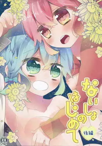 Naisho no Hajimete Kouhen