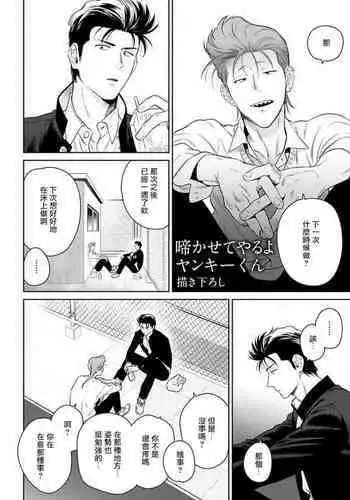 Nakasete Yaru yo Yankee-kun | 让你哭噢小混混 番外