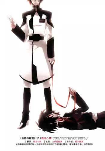 [sachi-machi (Shiina Ayumi)] Atarisawari no Nai Hibi (Gundam Seed Destiny) [Chinese] [神都不知道的工作組]