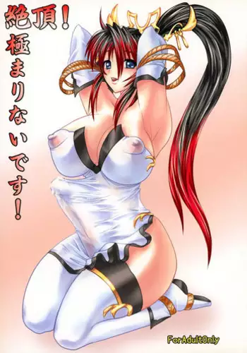 (Futaket 5) [Denjin (Sorano Umi, Katou, Misakura Nankotsu)] Zecchou! Kiwamarinai Desu! (Super Robot Wars OG Saga: Endless Frontier)