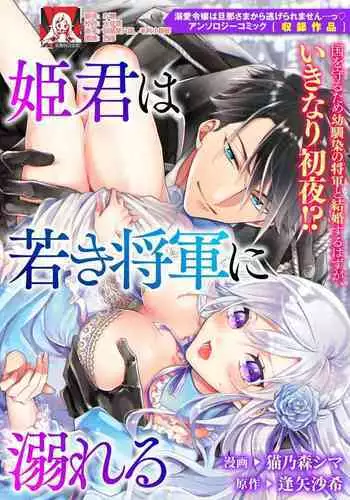 himegimi wa wakaki shōgun ni oboreru | 公主被年輕將軍迷戀