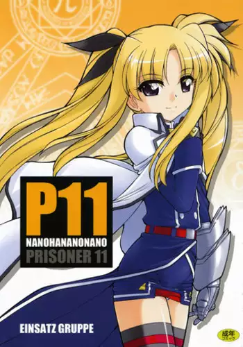 (C73) [EINSATZ GRUPPE (Charlie Nishinaka)] P11 PRISONER 11 NANOHANANONANO (Mahou Shoujo Lyrical Nanoha StrikerS)