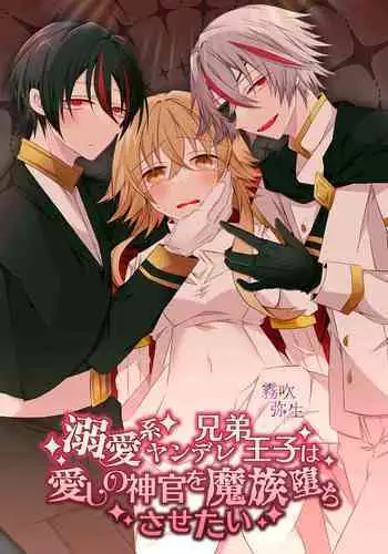 Dekiai Kei Yandere Kyoudai Ouji wa Itoshi no Shinkan Mazoku Ochi Sasetai | 溺愛係病嬌王子兄弟想讓心愛的神官墮落成魔族