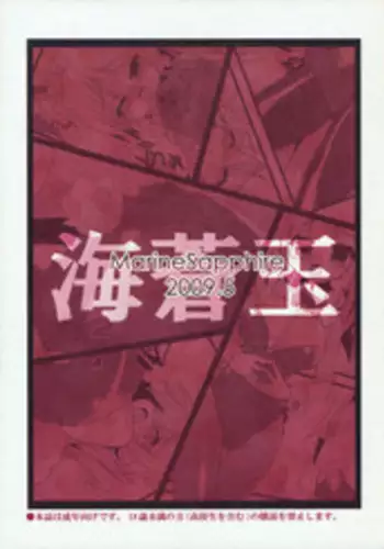 (Akatsuki no Utage 3) [MarineSapphire (Hasumi Milk)] SSS PLATINA (Touhou Project)