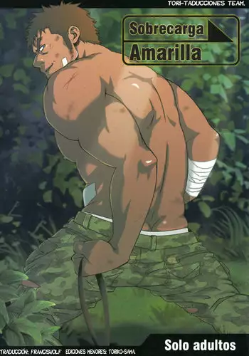 Sobrecarga Amarilla