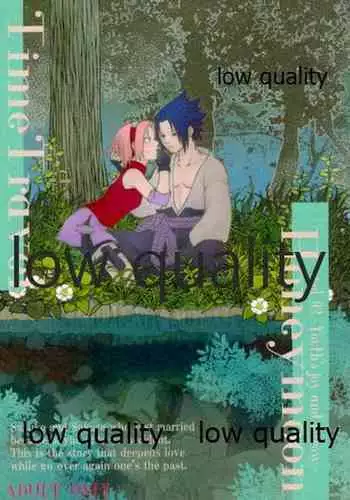 Time Travel Honeymoon 2