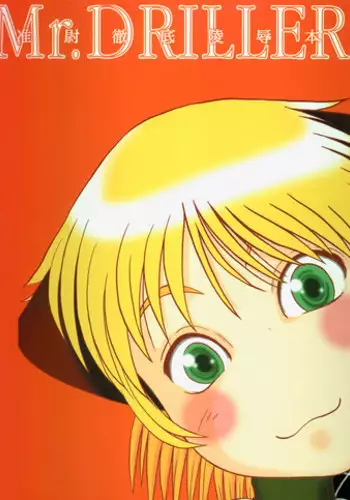 [Hyakumanben Alien (Kiyama Shiki)] Mr. Driller Juni Tettei Ryoujoku Hon (Hellsing)