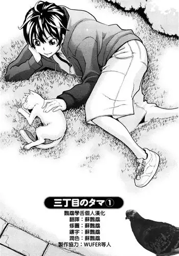 [Mikami Cannon] Sanchoume no Tama | Tama from Third Street Ch. 1 (Mecha Mucha H) [Chinese] [鸚鵡學舌個人漢化]