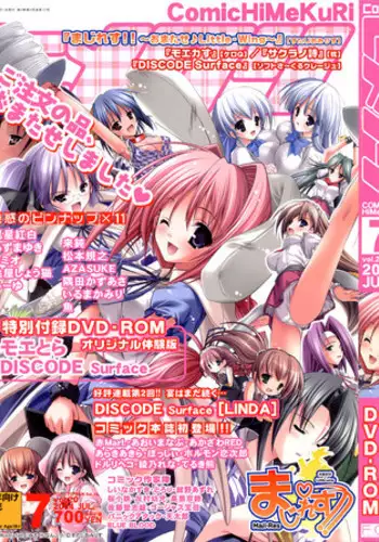 COMIC HimeKuri 2004-07