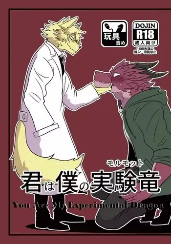 You are My Experimental Dragon | Kimi wa Boku no Jikken Ryu