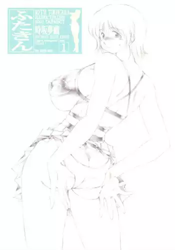 (C64) [Lip van winkle (Tokisaka Mugi)] Futa Kin 1 (Dead or Alive)